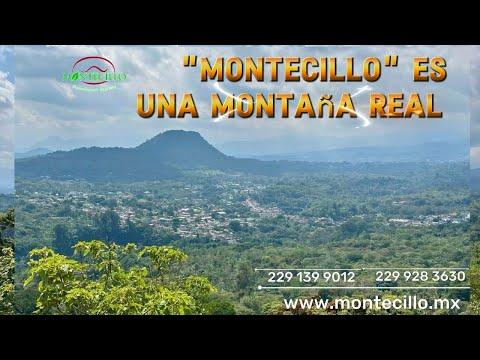 Previsualización de video