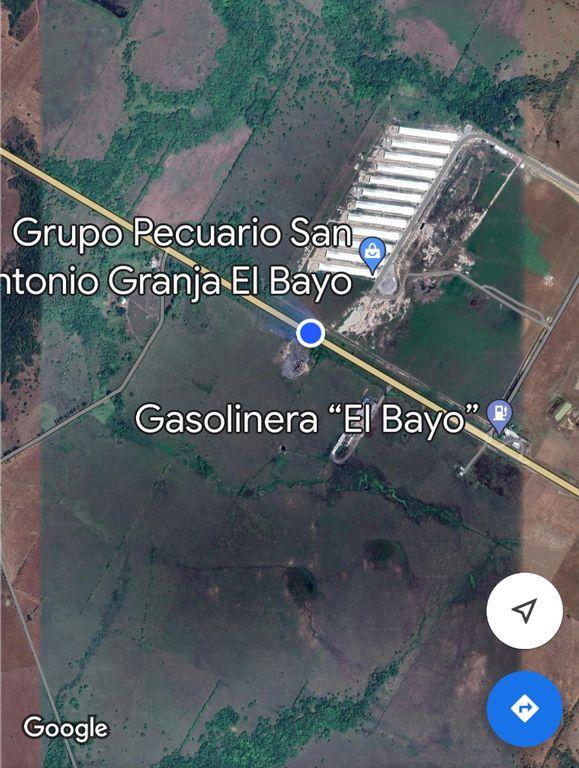 Foto de la galeria de imagenes