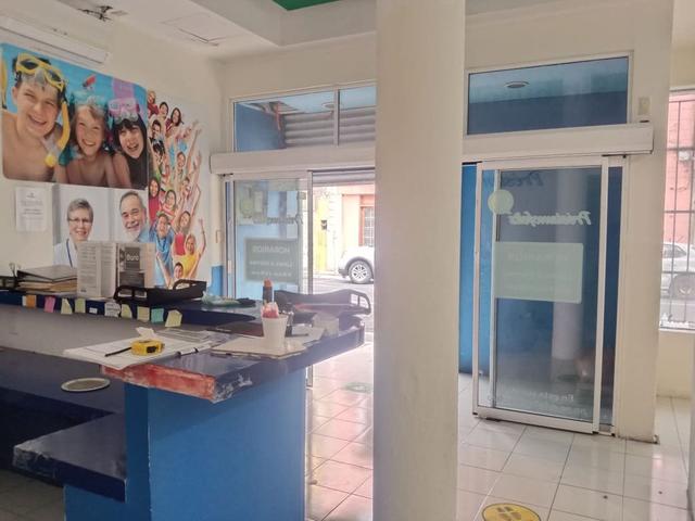 Foto de la galeria de imagenes