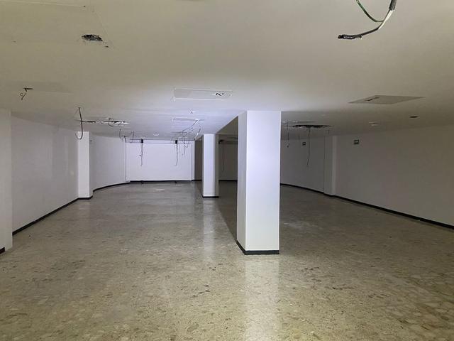 Foto de la galeria de imagenes