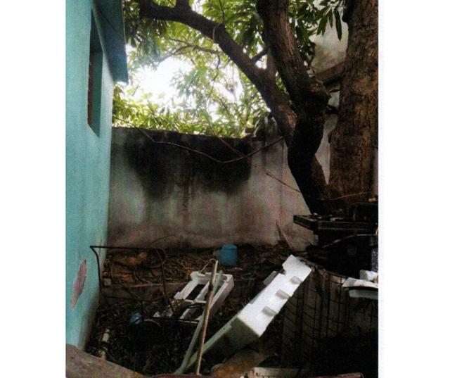 Foto de la galeria de imagenes