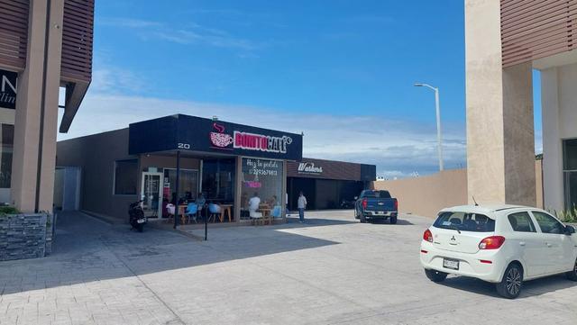 Foto de la galeria de imagenes