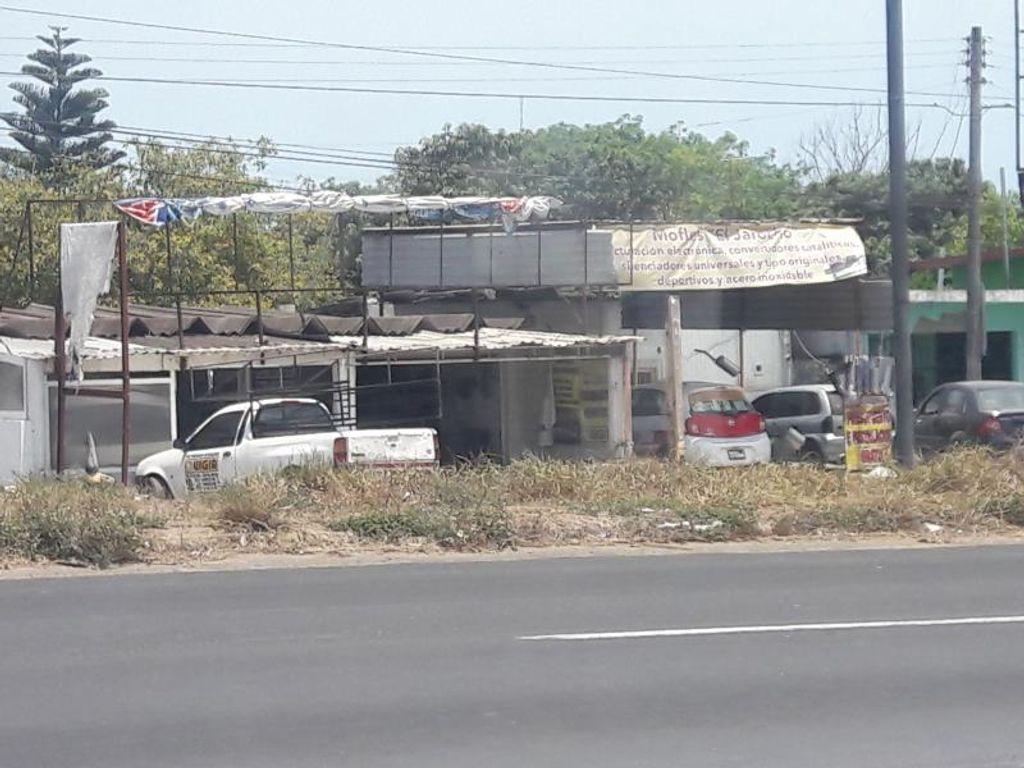 Foto de la galeria de imagenes
