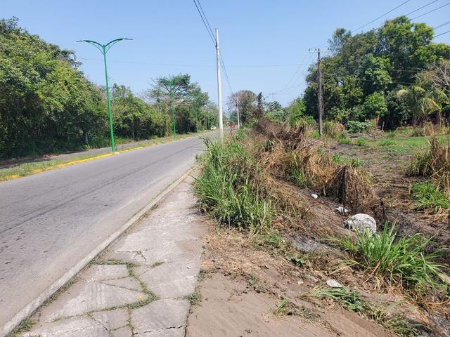 Foto de la galeria de imagenes