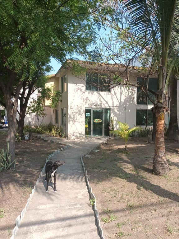 Foto de la galeria de imagenes