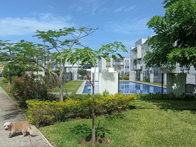 Foto de la galeria de imagenes